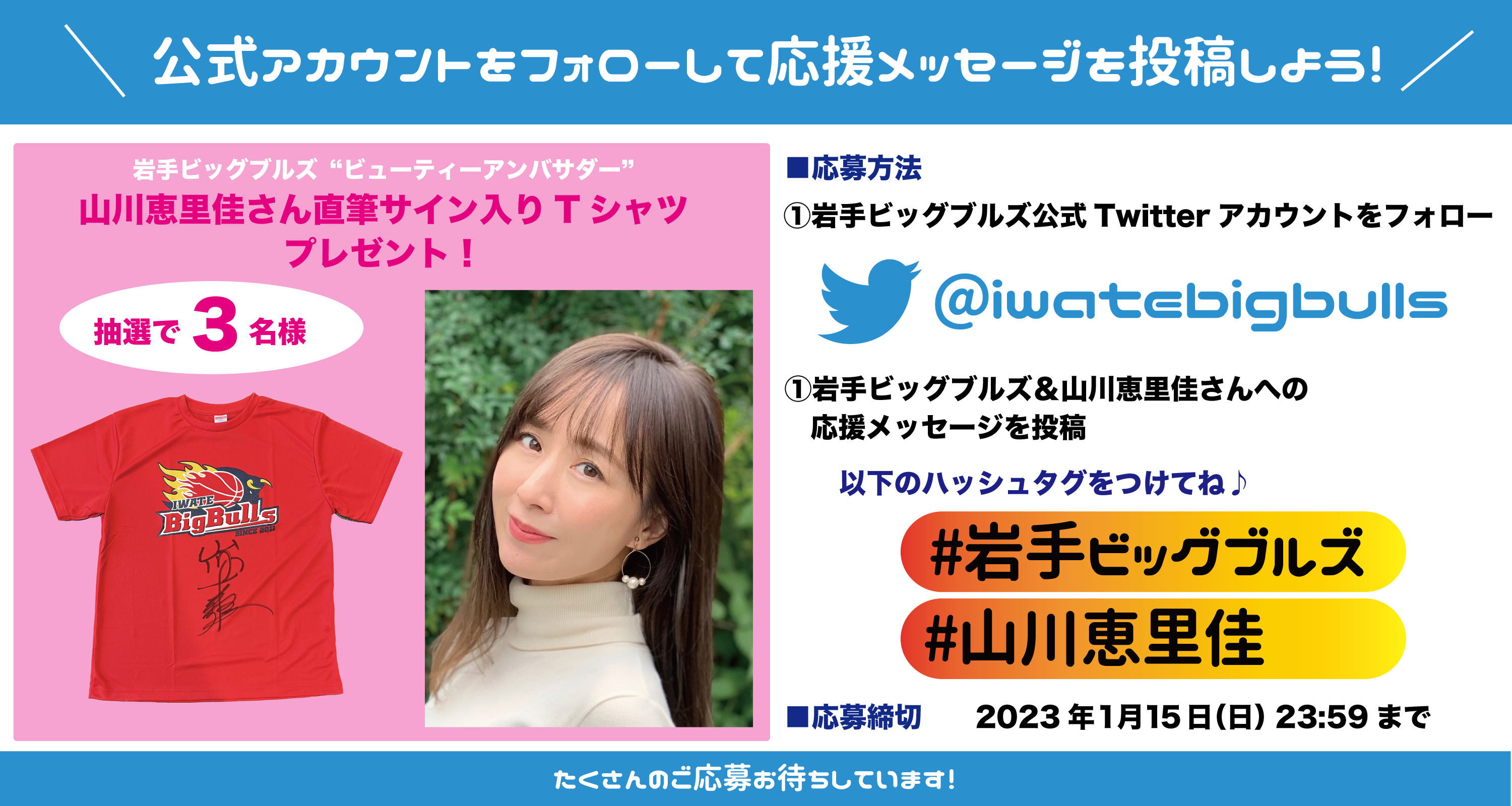 岩手ビッグブルズ特別Tシャツ(非売品) 岩手ビッグブルズ特別Tシャツ(非売品) バスケットボール